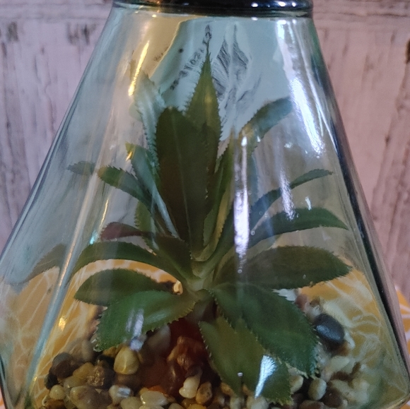 Homedeco Light Up Terrarium - Picture 5 of 7
